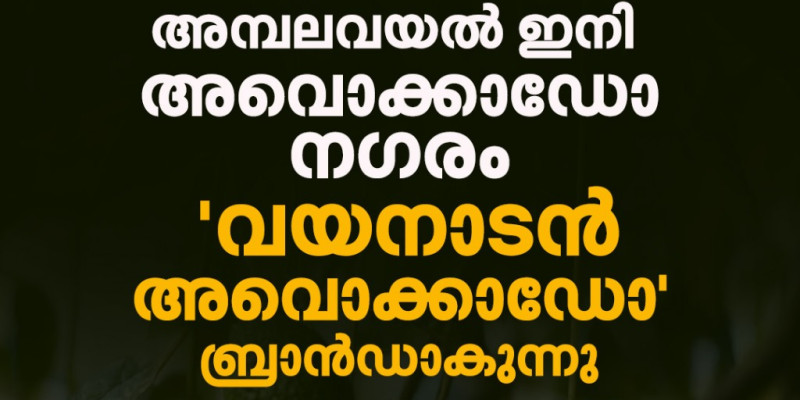 വയനാടൻ അവോക്കാഡോ ബ്രാൻഡ് ആകുന്നു