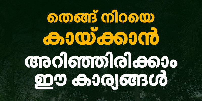 തെങ്ങ് നിറയെ കായ്‌ക്കാൻ