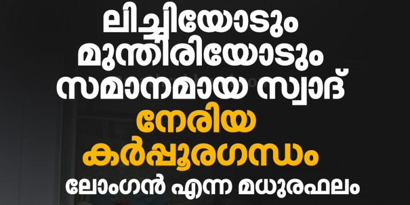 ലോംഗന്‍ എന്ന മധുരഫലം