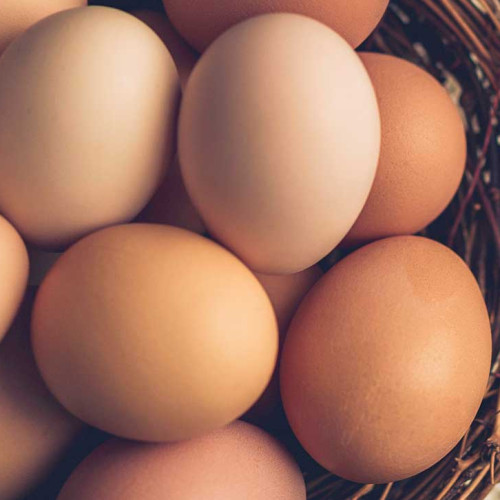 Eggs (മുട്ട)