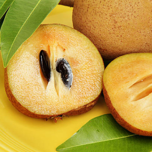 Sapota (Chiku)