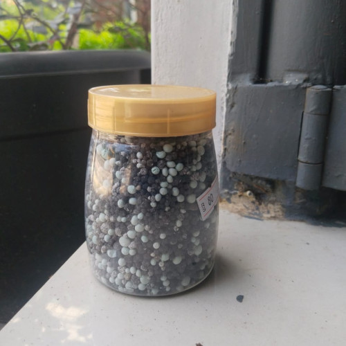 DAP (Di-Ammonium Phosphate)