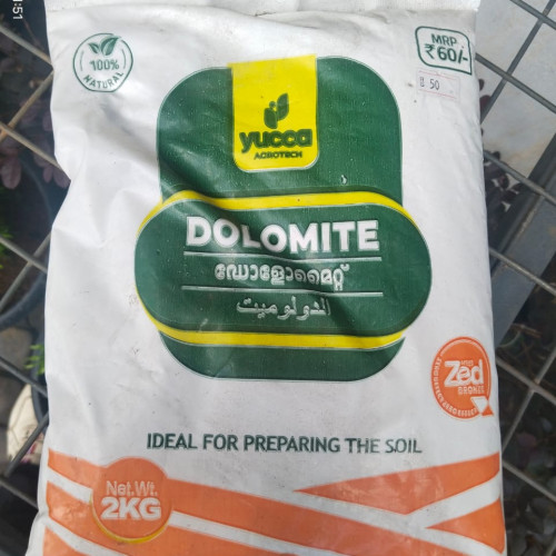Lime, Dolomite (കുമ്മായം)