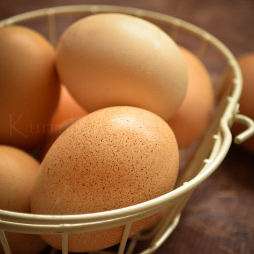 Chicken Eggs (കോഴിമുട്ട)