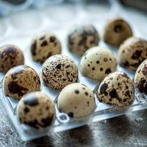 Quail Eggs (കാടമുട്ട)