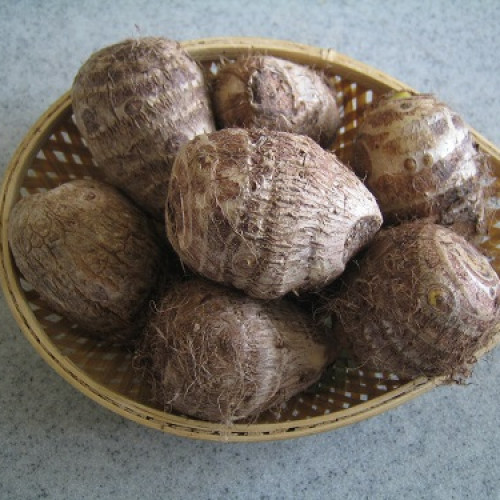 Chembu (ചേമ്പ്)