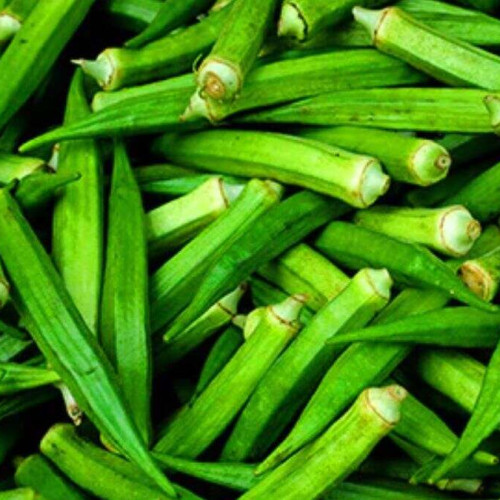 Ladies Finger / Okra (വെണ്ട)