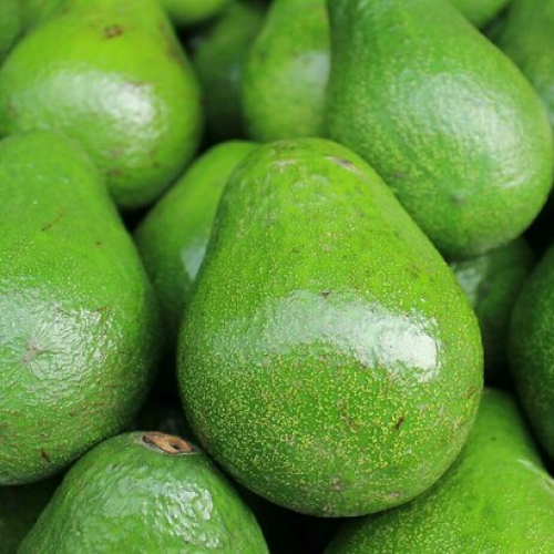 Avocado (Butterfruit)