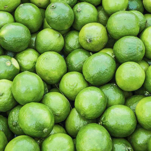 lemon (നാരകം)