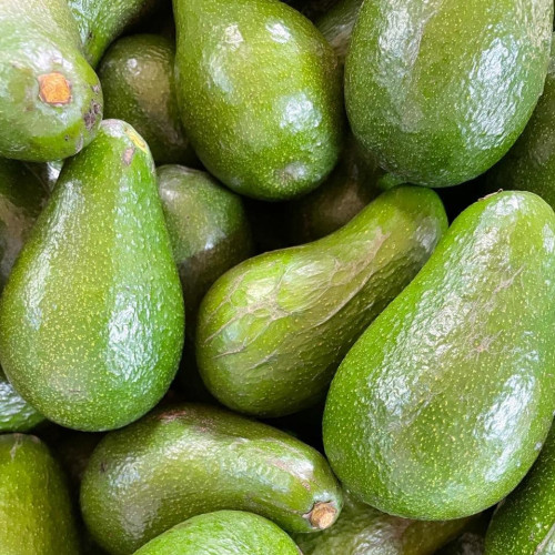 Avocado (Butterfruit)
