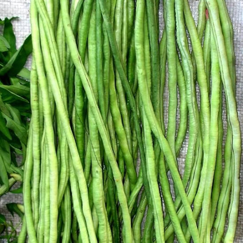 Beans (പയർ )