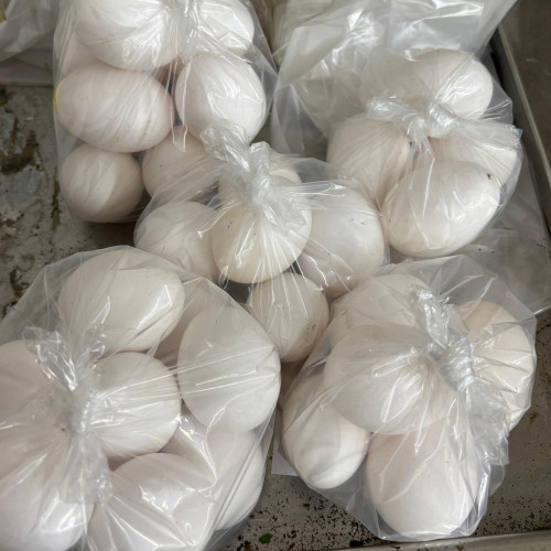 Chicken Eggs (കോഴിമുട്ട)