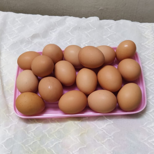 Chicken Eggs (കോഴിമുട്ട)