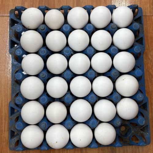 Chicken Eggs (കോഴിമുട്ട)