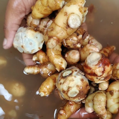 Others (മറ്റുള്ളവ)