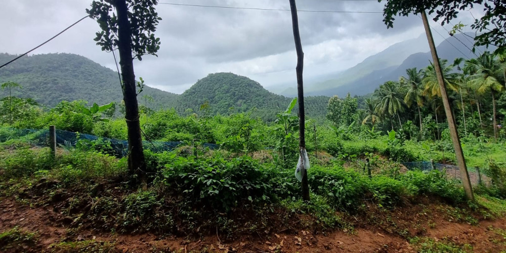 Lands & Plots for sale