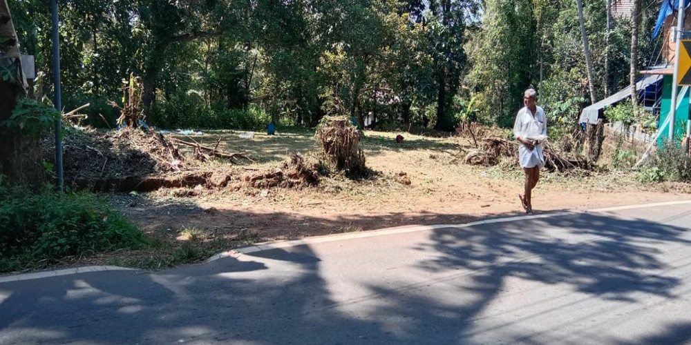 Lands & Plots for sale