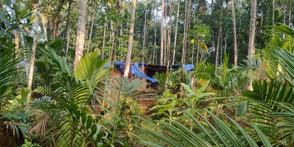 Lands & Plots for sale