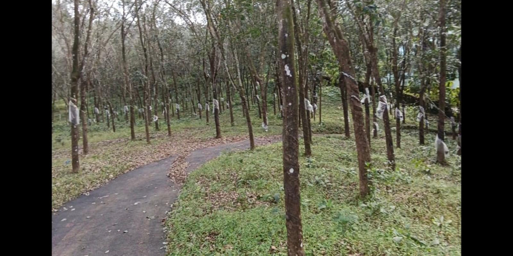 Lands & Plots for lease