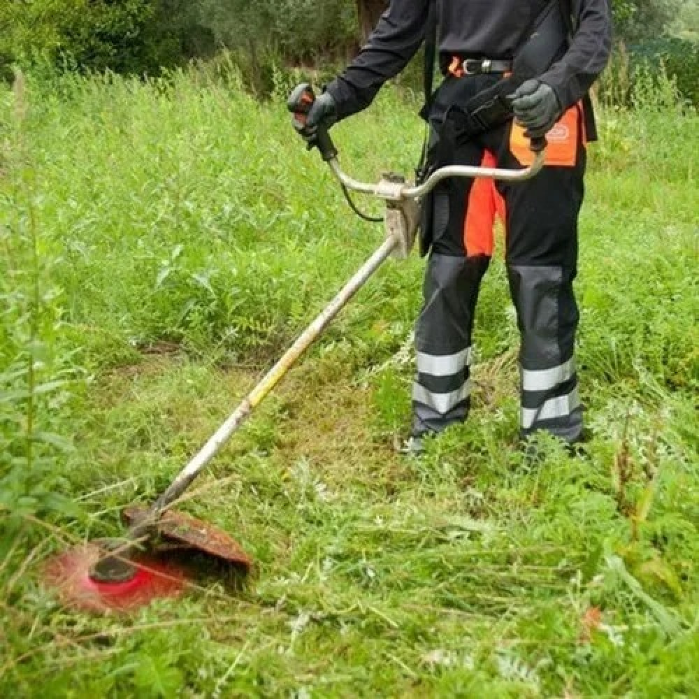 Brush Cutter (Grass cutter)